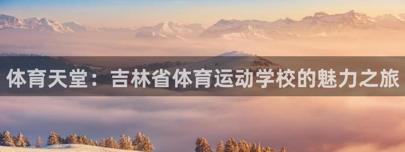中欧amp班是什么班