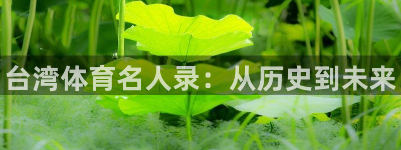 中欧趋势今日净值