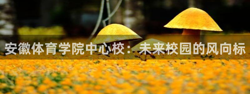 中欧五国是哪五国呢