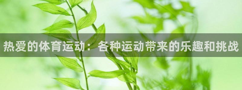 中欧国际工商学院